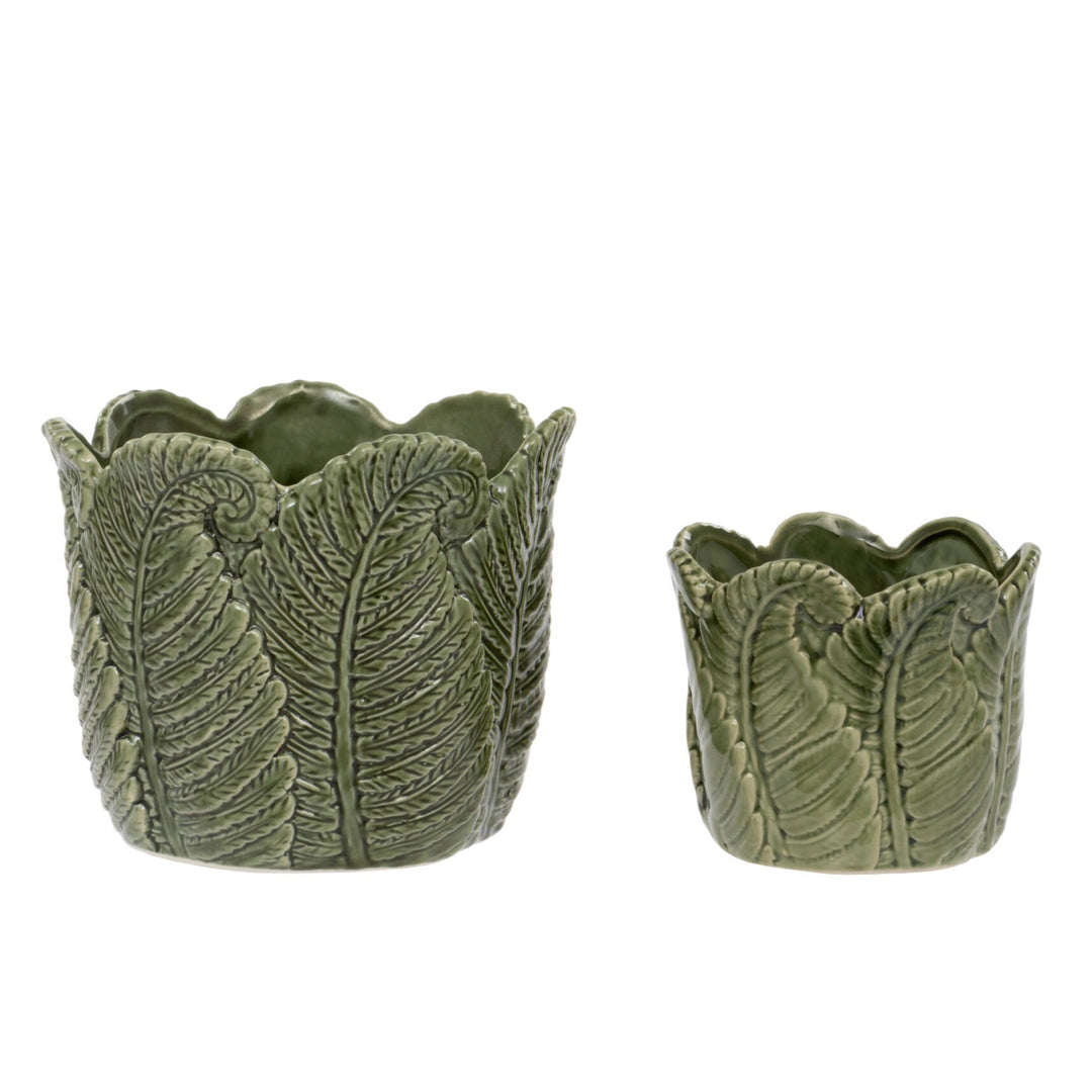 Green Fern Indoor Plant Pots - Set of 2