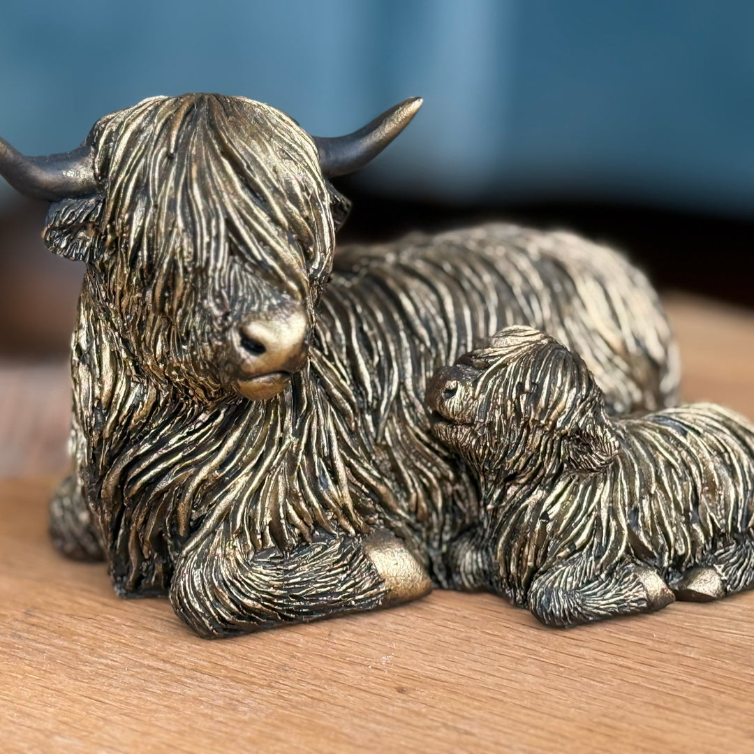 Highland Cows