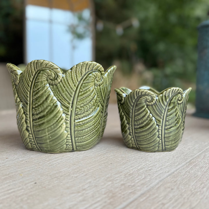 Green Fern Indoor Plant Pots - Set of 2