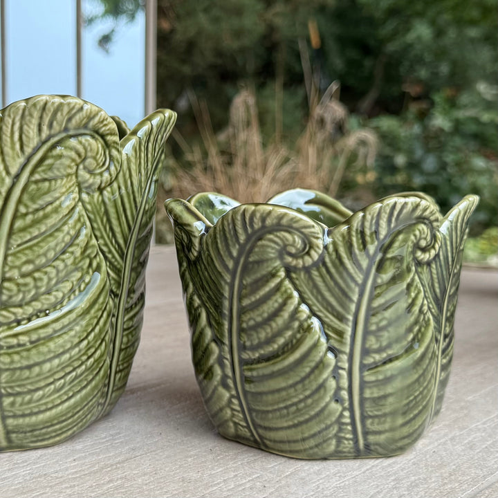 Green Fern Indoor Plant Pots - Set of 2