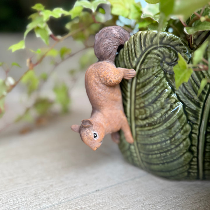 brown squirrel pot hanger with curly tail over the top of a decorative green pot in the shape of a fern leaf