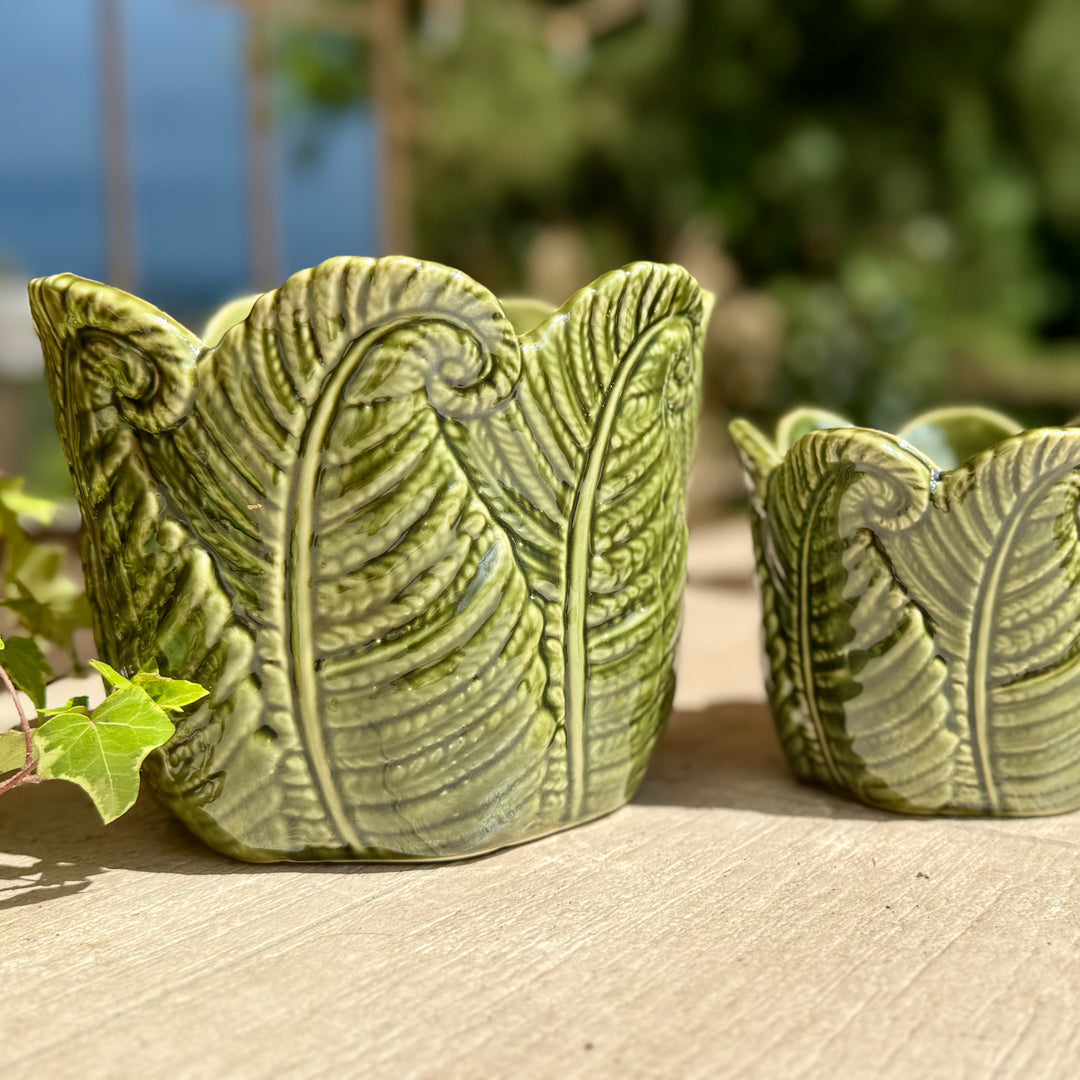 Green Fern Indoor Plant Pots - Set of 2