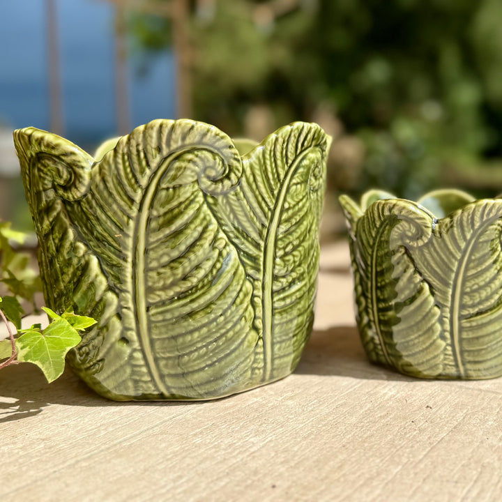 Green Fern Indoor Plant Pots - Set of 2
