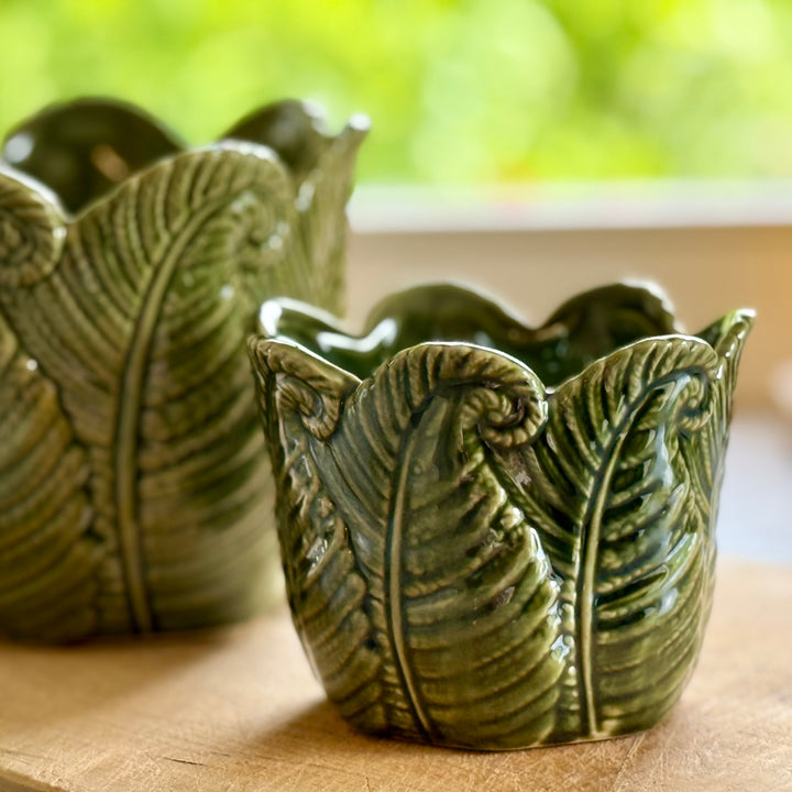 Green Fern Indoor Plant Pots - Set of 2