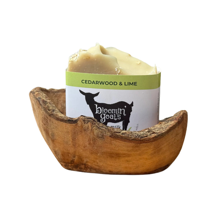 Olive Wood Soap Dish - Standard