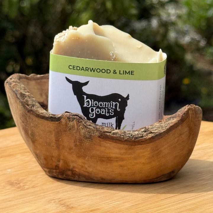 Olive Wood Soap Dish - Standard