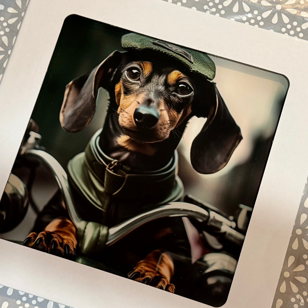 Dachshund dog wearing a green outfit and hat on a decorative background
