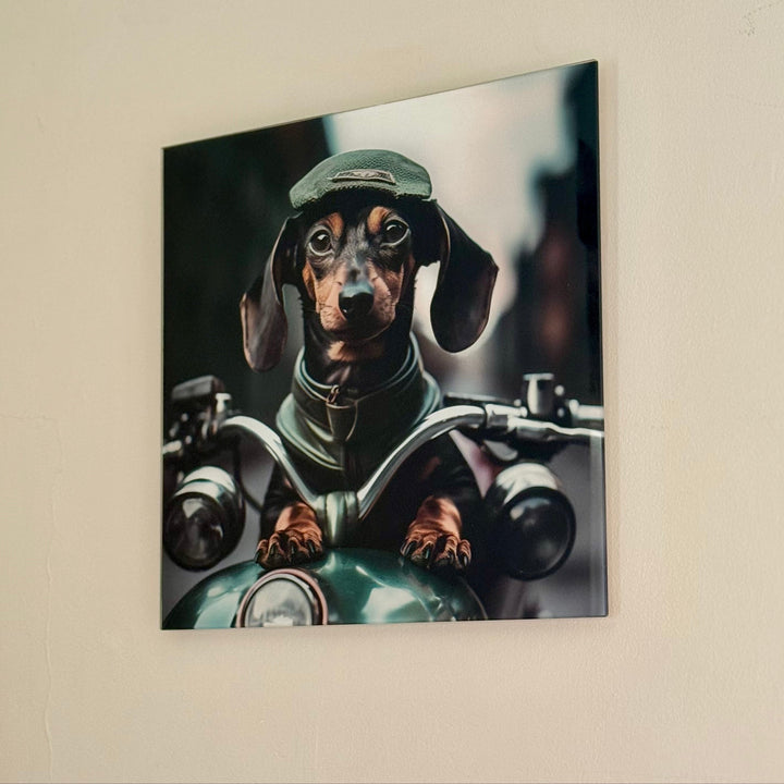print of a dachshund riding on an old motorcycle on a beige wall.