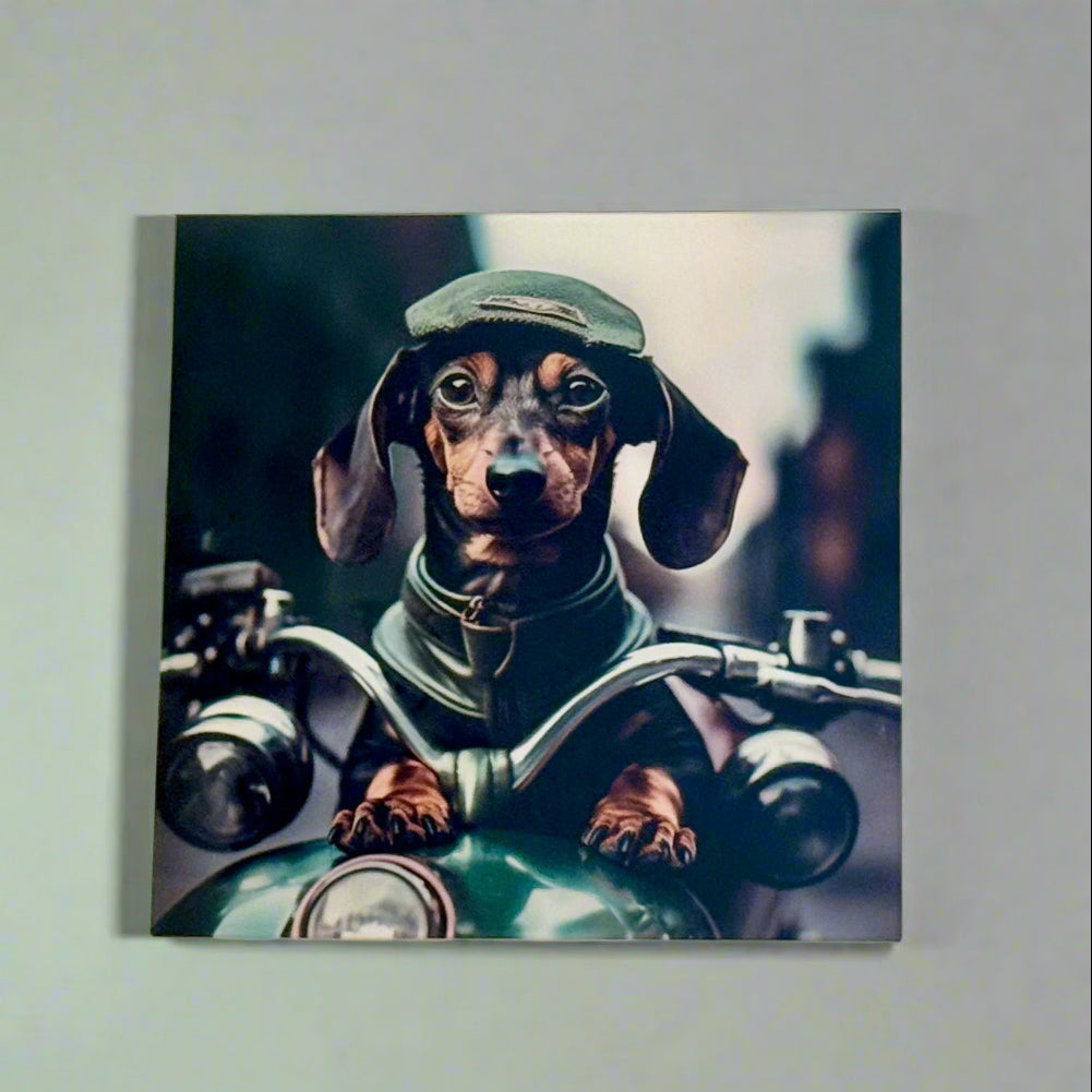 print of a dachshund in a vintage motorcycle costume on a grey wall.