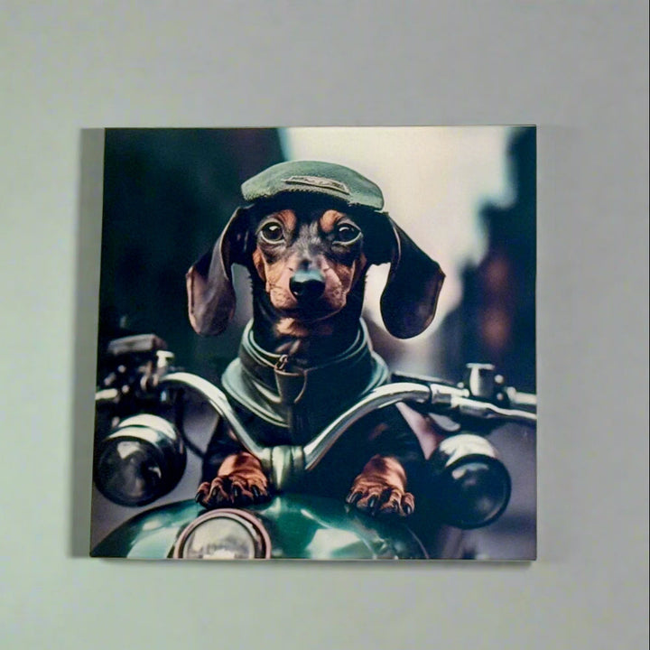 print of a dachshund in a vintage motorcycle costume on a grey wall.