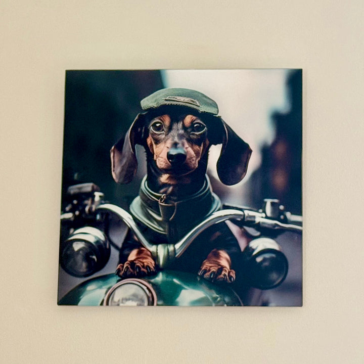 print of a dachshund in a vintage motorcycle outfit on a beige wall.