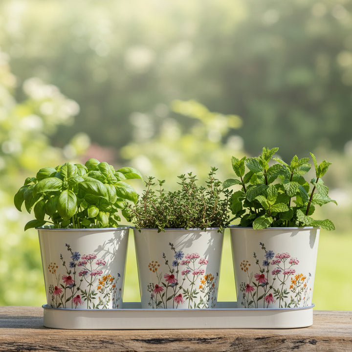 Three potted plants with floral designs on a wooden surface with a blurred green background