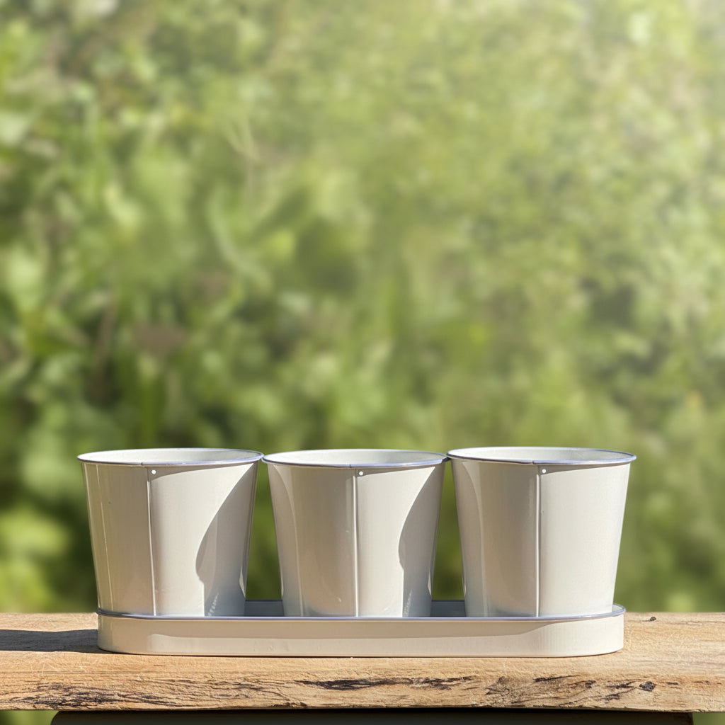 Three white planters on a wooden surface with a green, leafy background