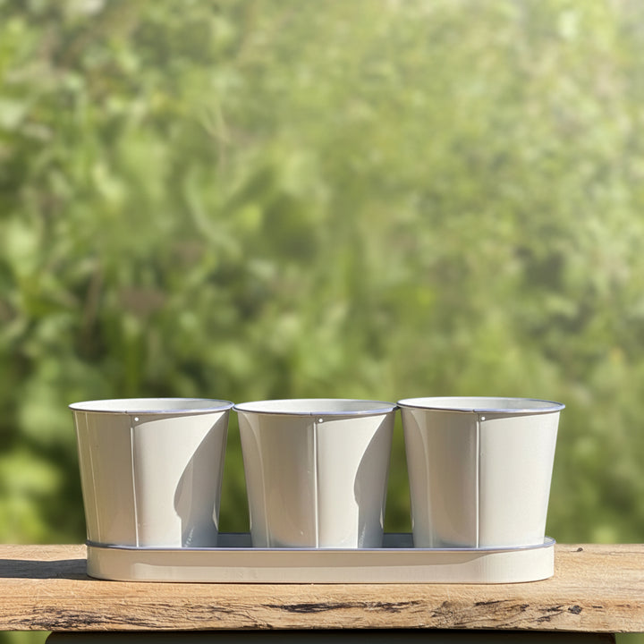 Three white planters on a wooden surface with a green, leafy background