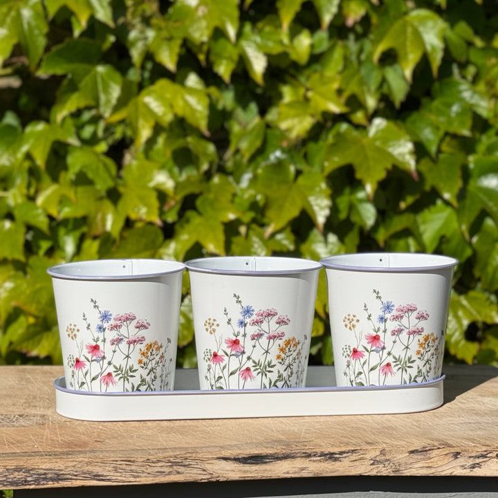Three floral-patterned planters on a wooden surface with green foliage in the background
