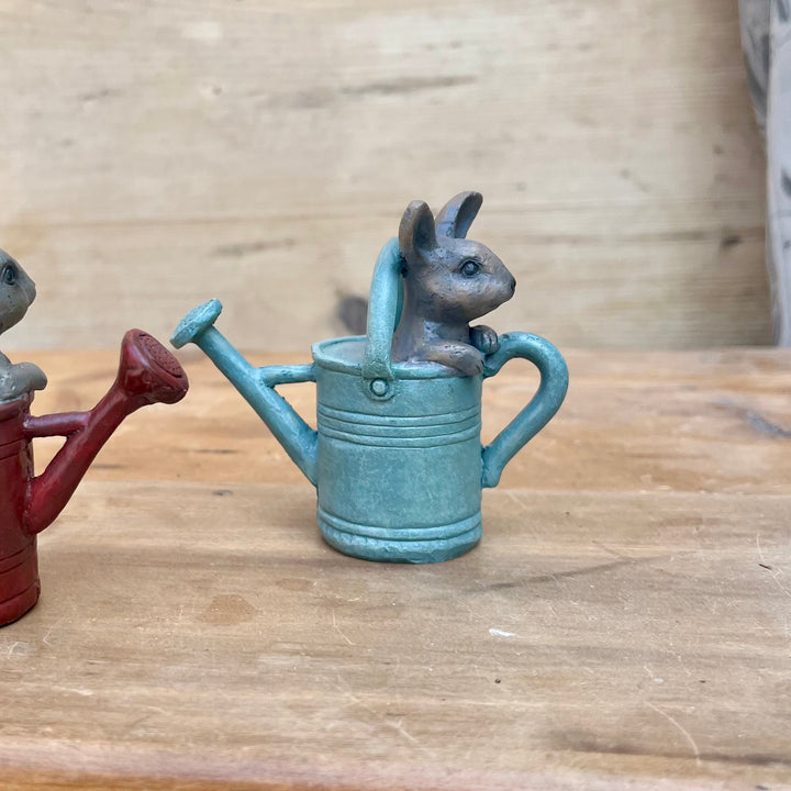 Bunny in a Watering Can