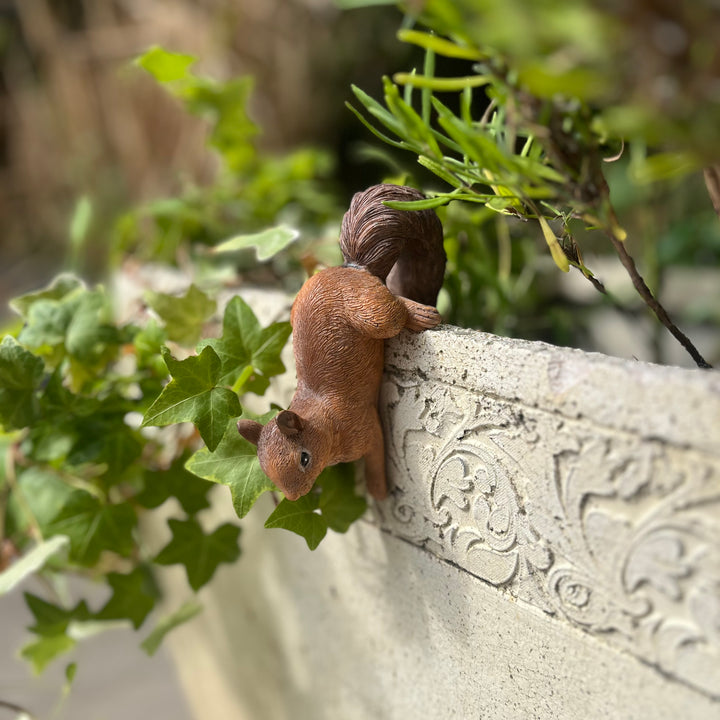 Squirrel Pot Hanger