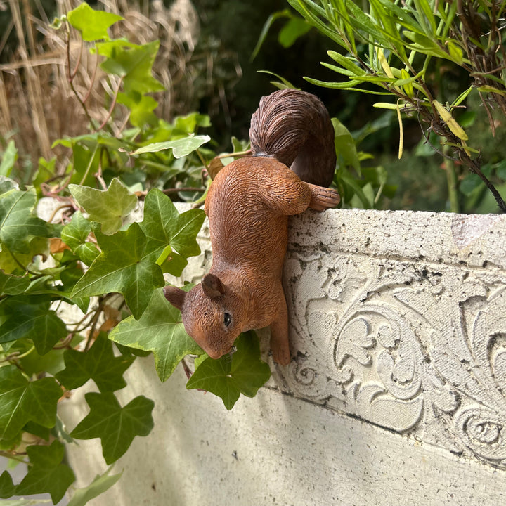 Squirrel Pot Hanger