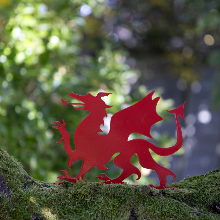 Fiery Fence Dragon