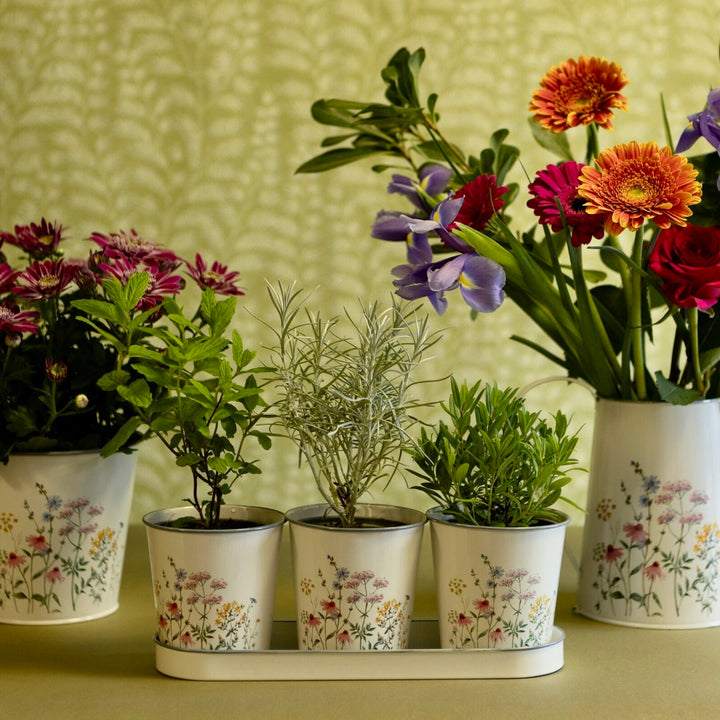 Set of 3 Herb Plant Pots with Tray