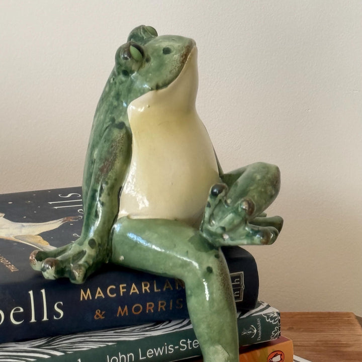 Ceramic frog figurine on top of books with a plain background