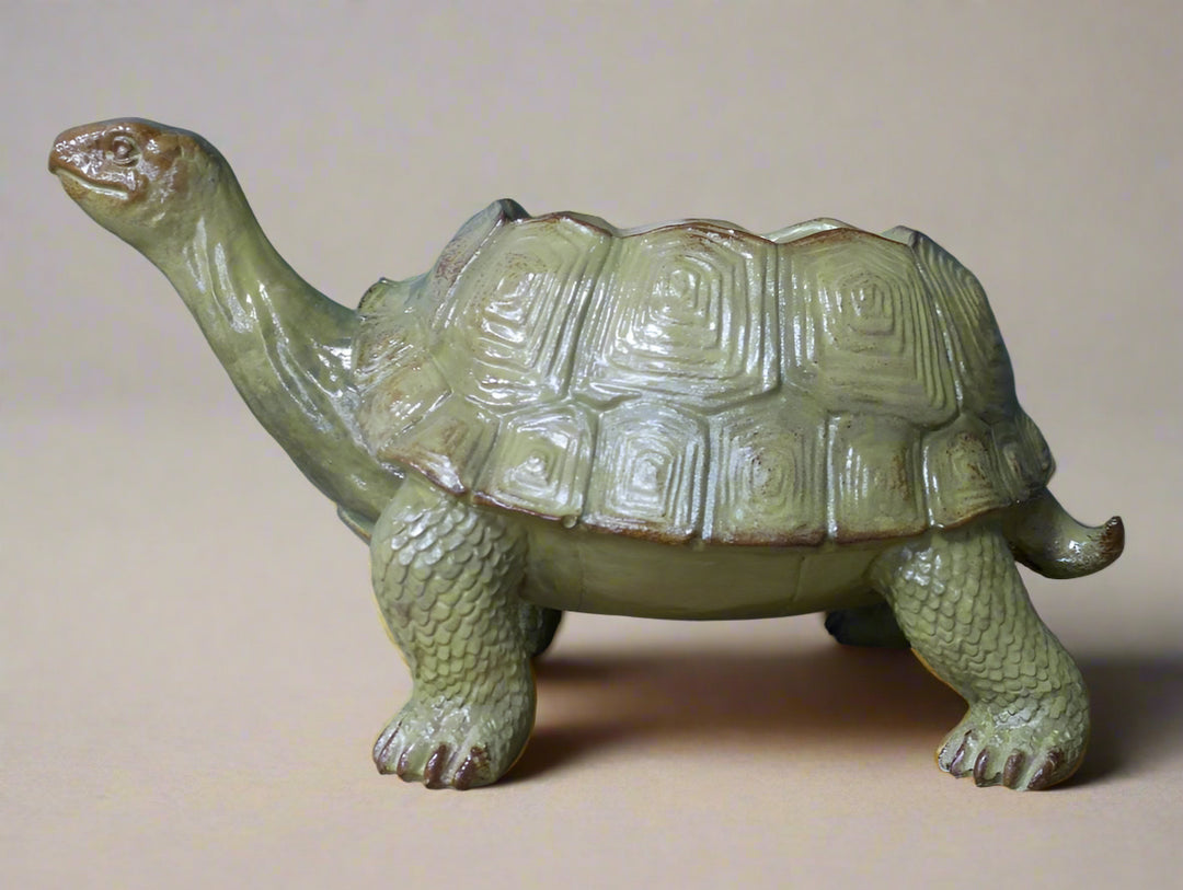 Tortoise Planter