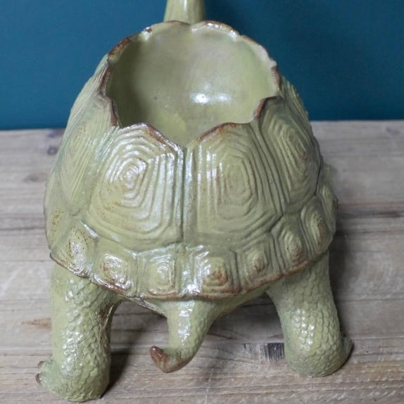 Tortoise Planter