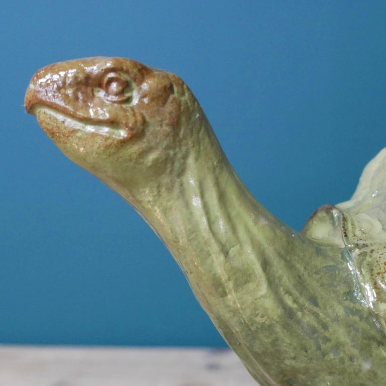 Tortoise Planter