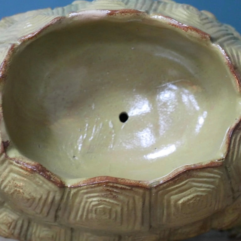 Tortoise Planter