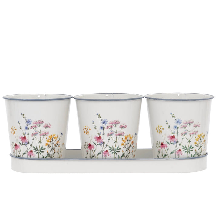 Set of 3 Herb Plant Pots with Tray