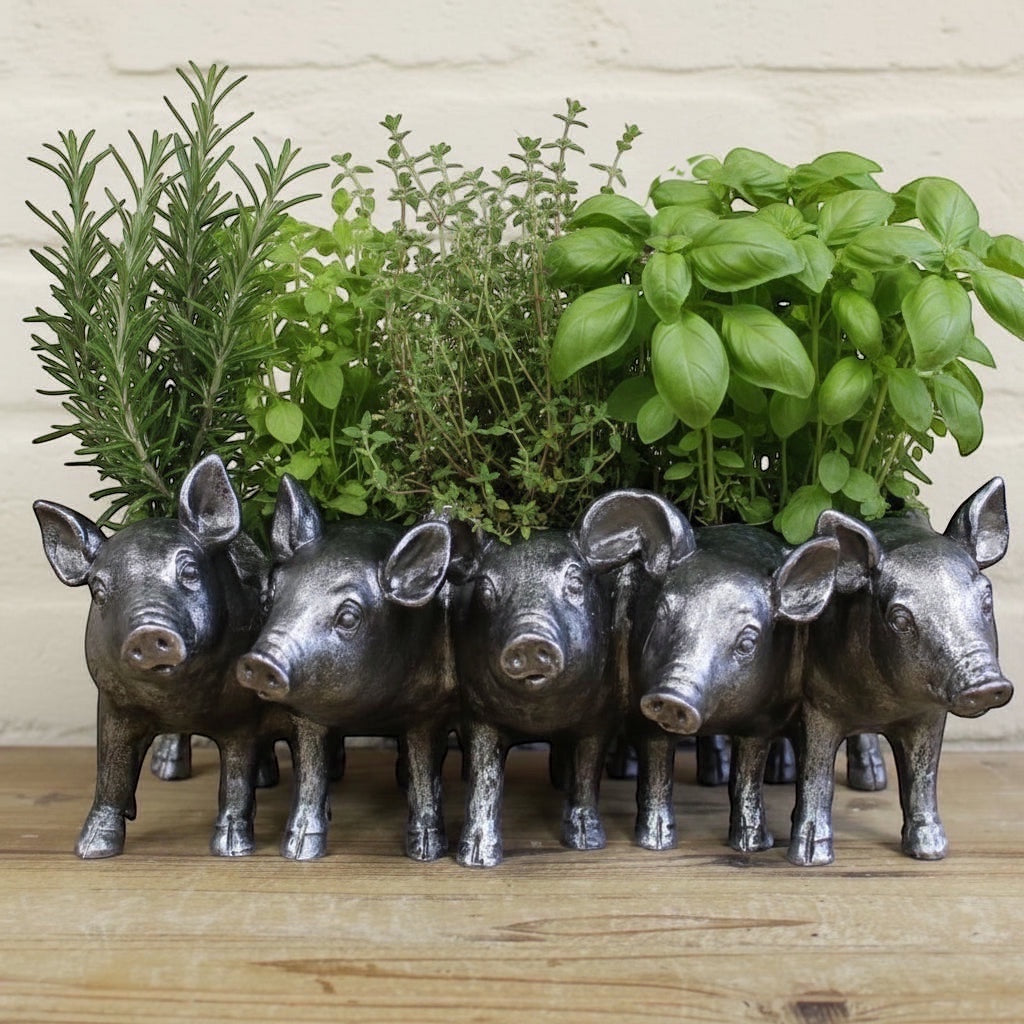 Silver Pigs Planter - Indoor Pot for Herbs Succulents and Plants