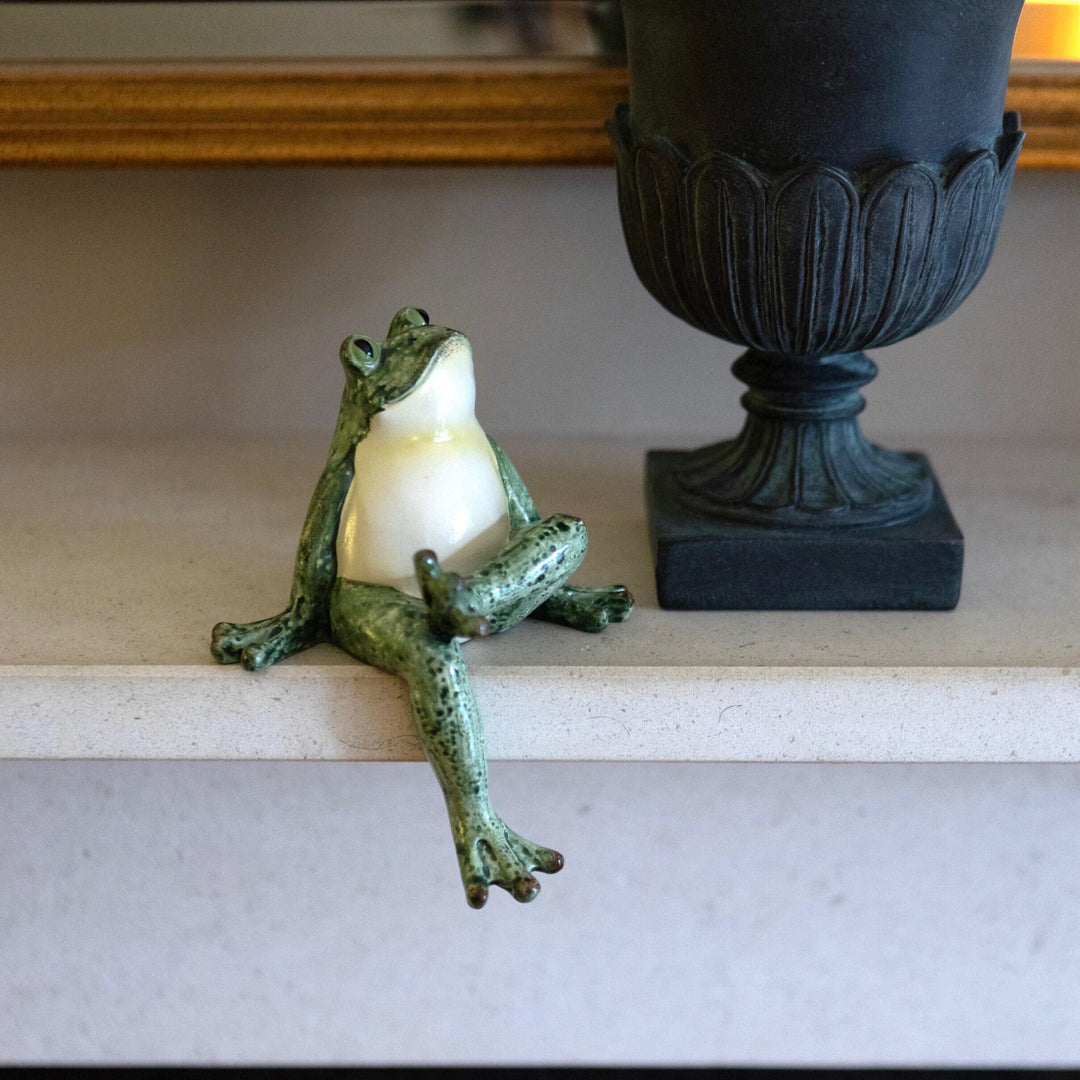 Fabulous Frog Shelf Sitter