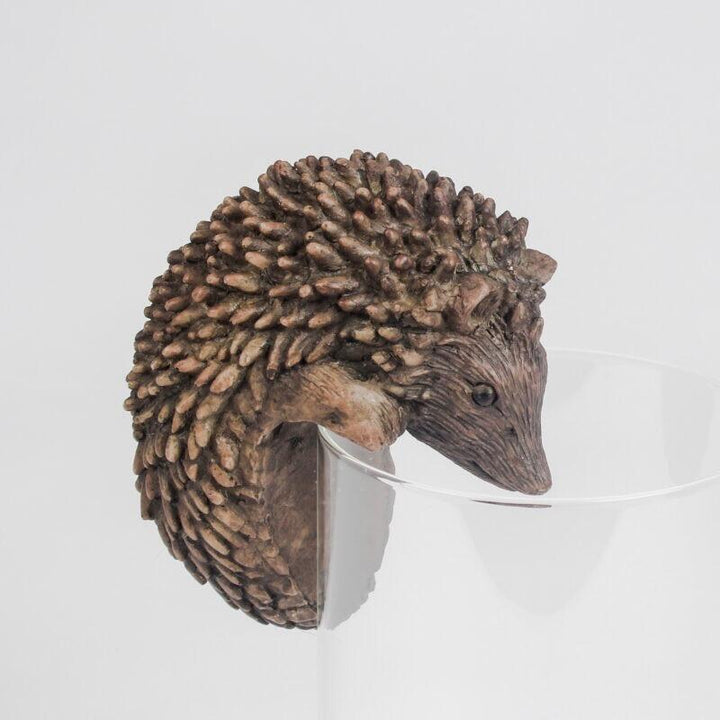 Hedgehog Pot Hangers