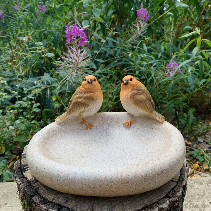 Robins on a Bowl Bird Bath/Feeder