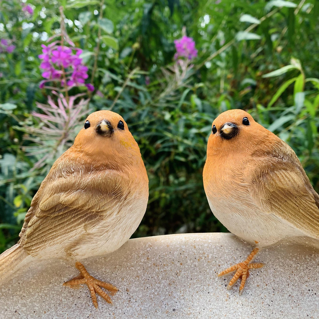 Robins on a Bowl Bird Bath/Feeder