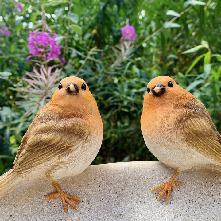 Robins on a Bowl Bird Bath/Feeder