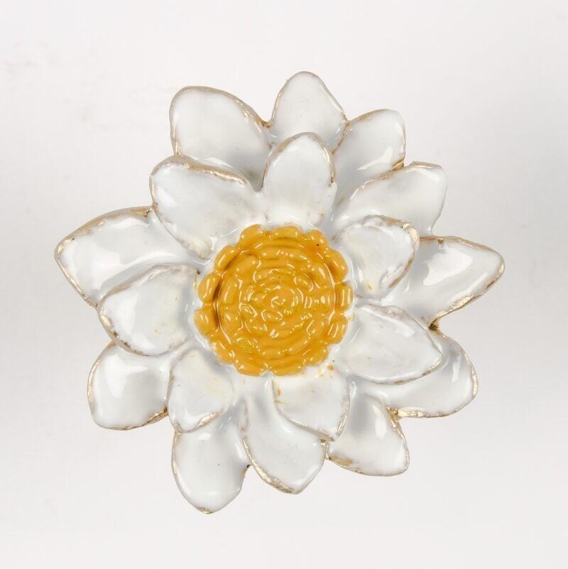 Marguerite Daisy Flower  Knob