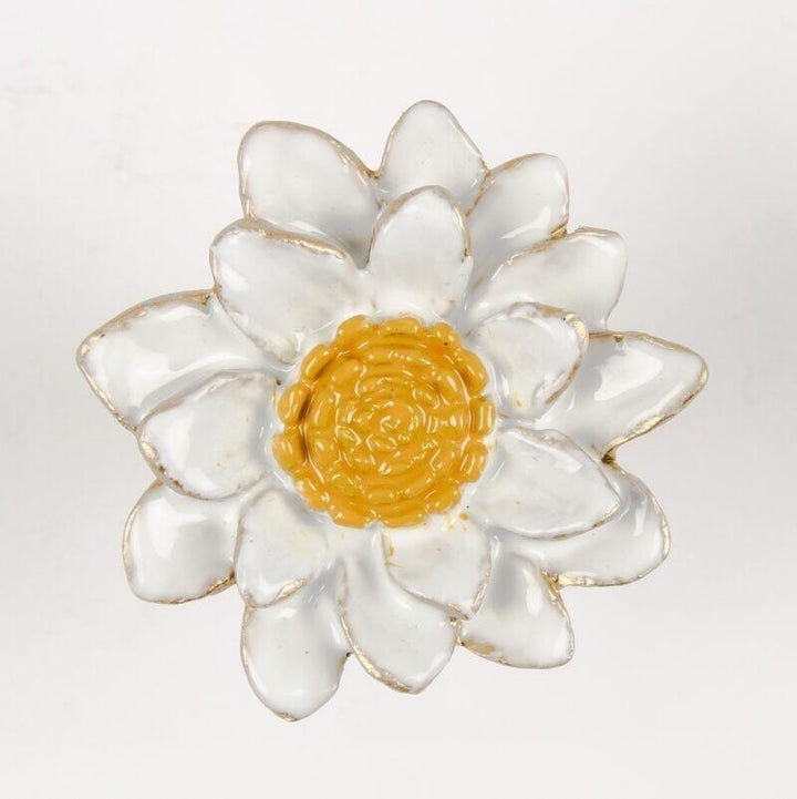 Marguerite Daisy Flower  Knob