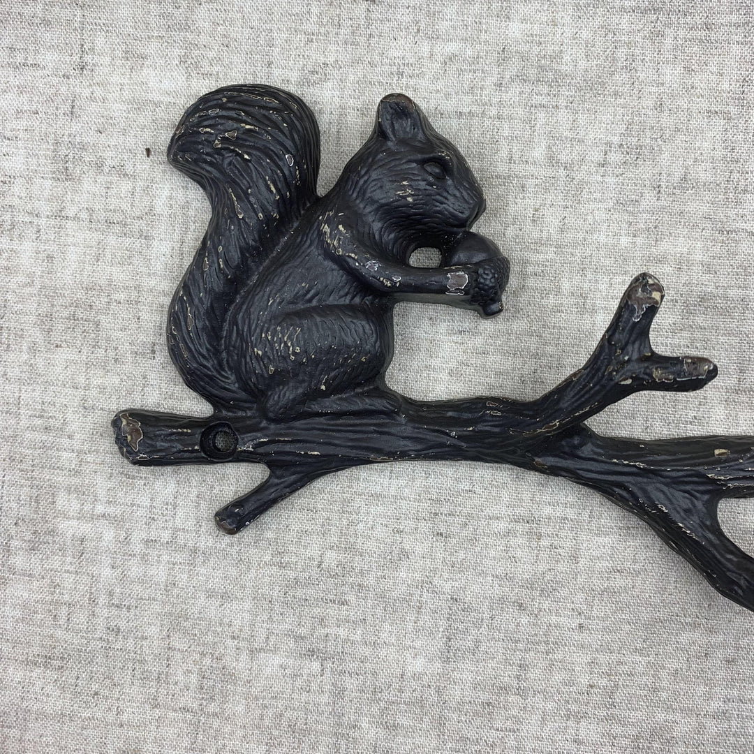 Squirrel and Acorn on Branch Metal Hooks