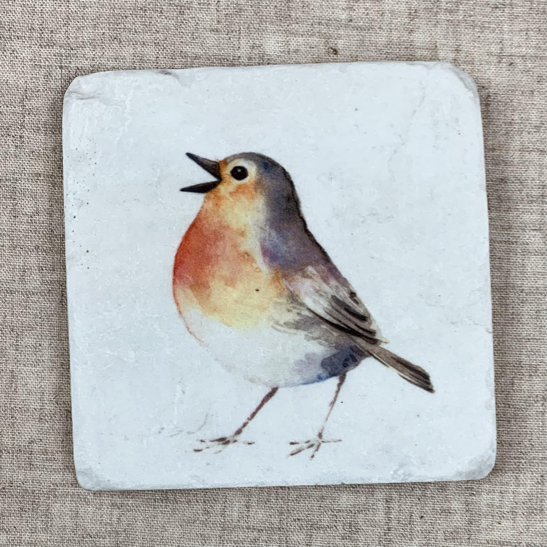 Country Robin Coasters Set of 4