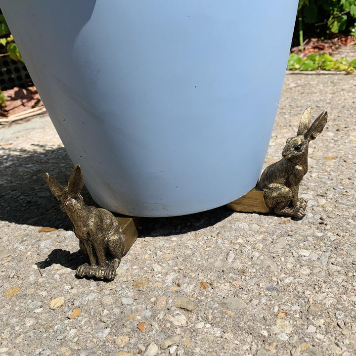 Set of 3 Golden Hares Plant Pot Feet