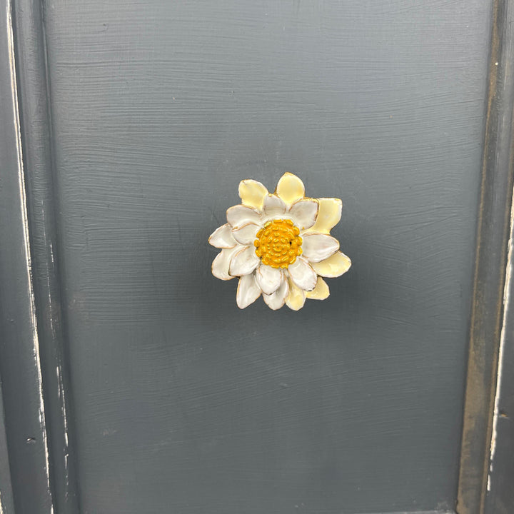 Marguerite Daisy Flower  Knob
