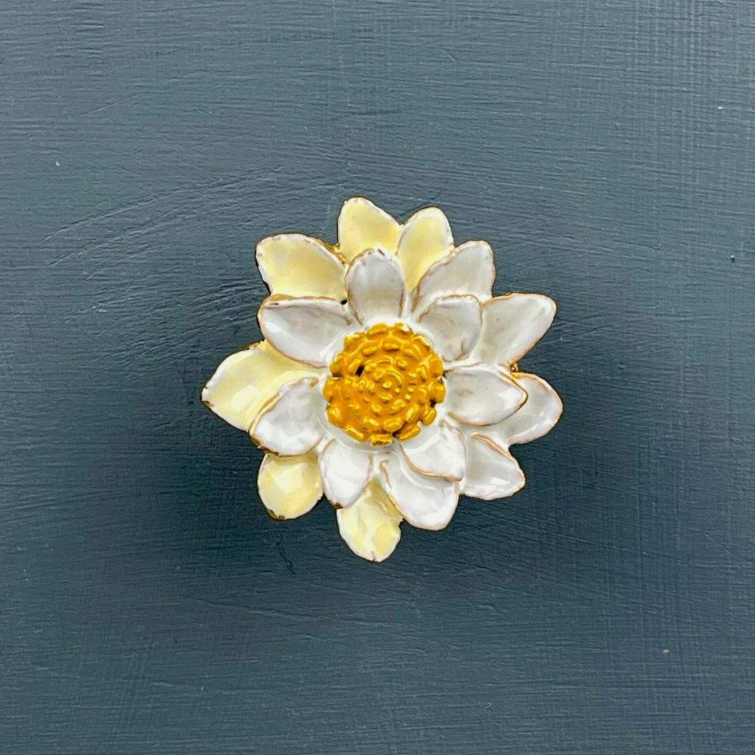 Marguerite Daisy Flower  Knob