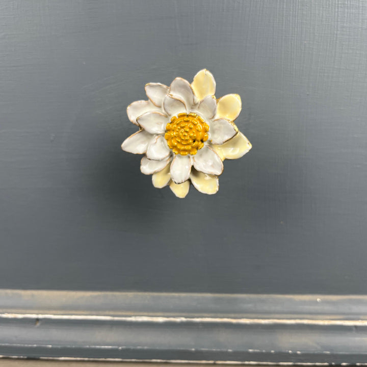 Marguerite Daisy Flower  Knob