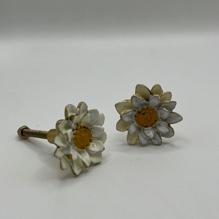 Marguerite Daisy Flower  Knob
