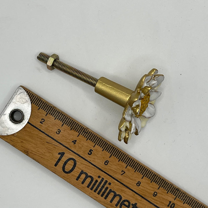 Marguerite Daisy Flower  Knob