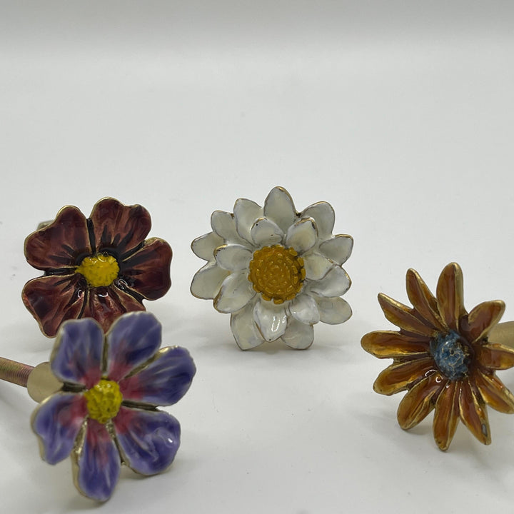 Marguerite Daisy Flower  Knob