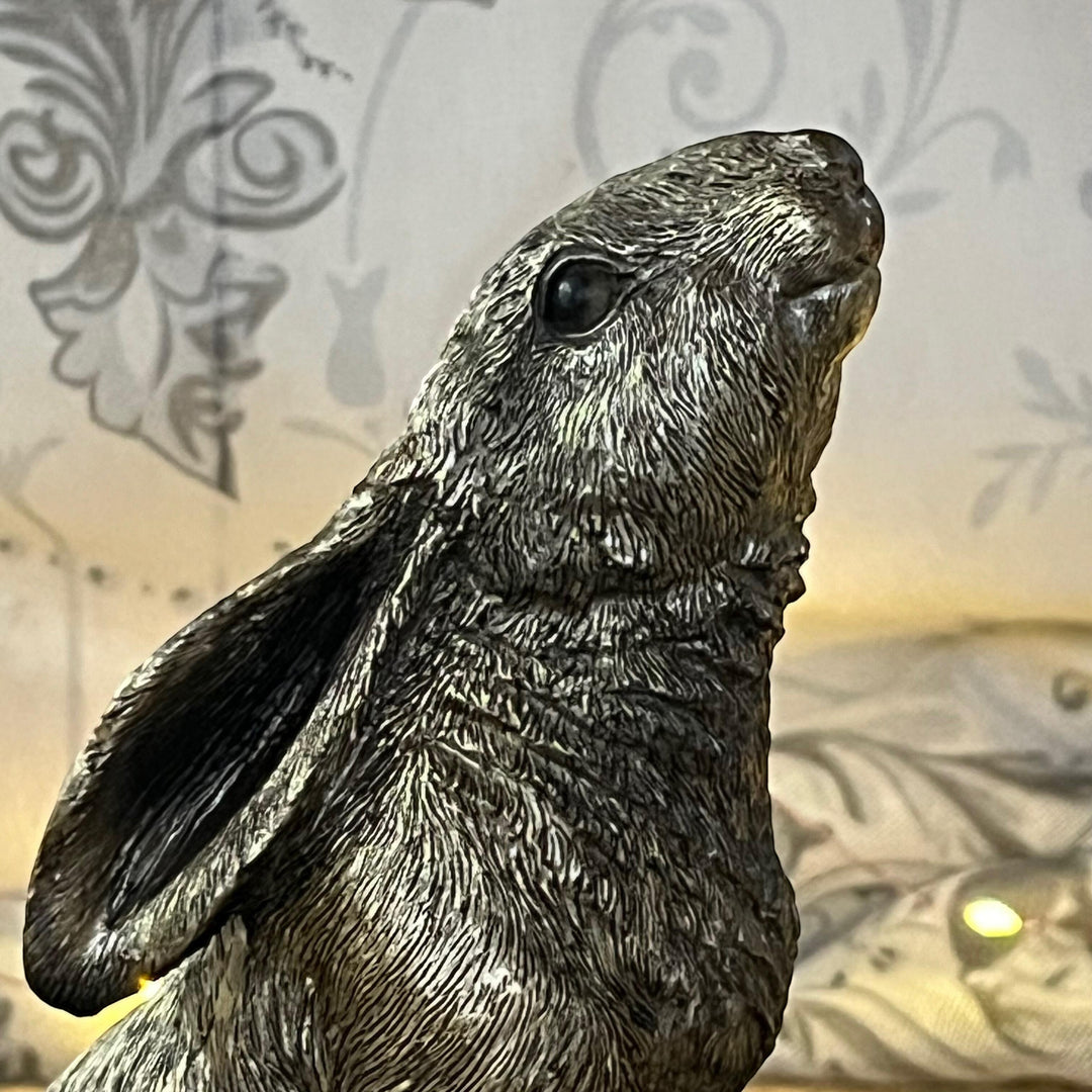 close up of antique gold moon gazing hare