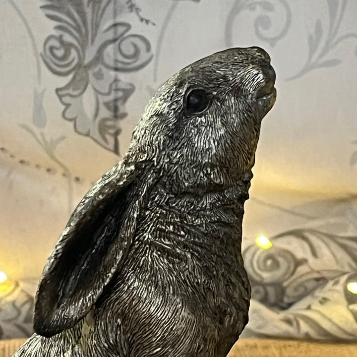 close up of antique gold moon gazing hare