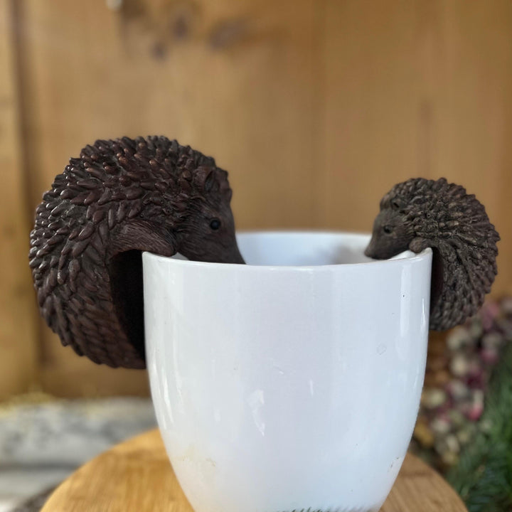 Hedgehog Pot Hangers